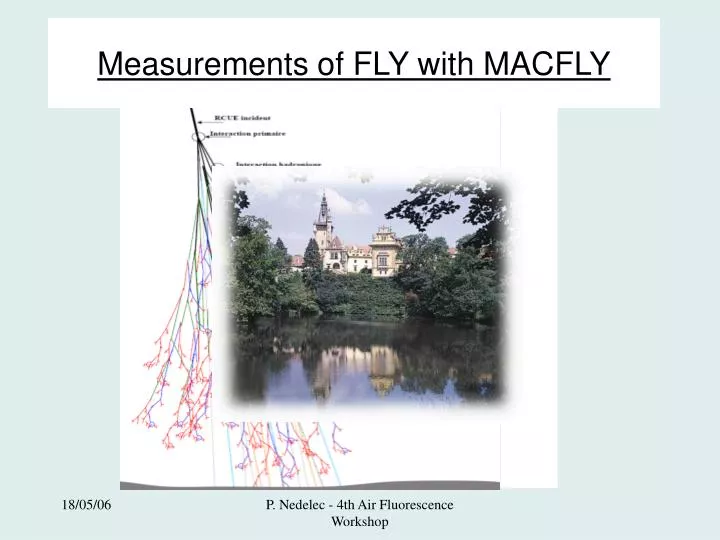measurements of fly with macfly