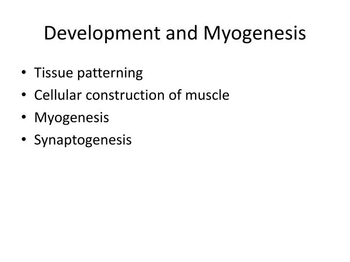 development and myogenesis