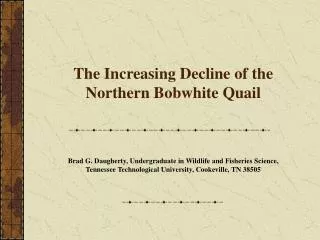 The Increasing Decline of the Northern Bobwhite Quail