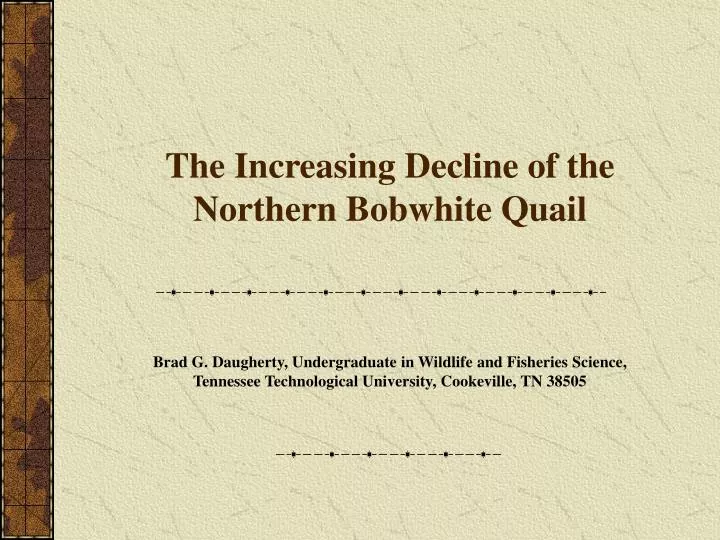 the increasing decline of the northern bobwhite quail