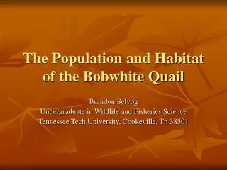 The Population and Habitat of the Bobwhite Quail