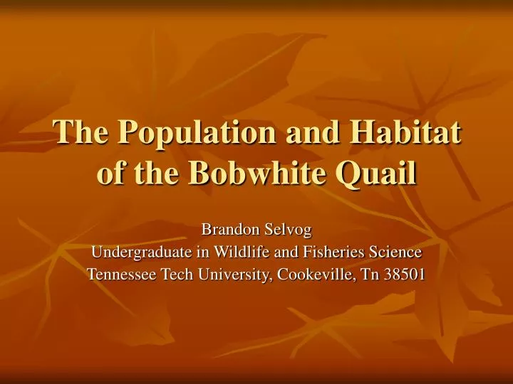 the population and habitat of the bobwhite quail