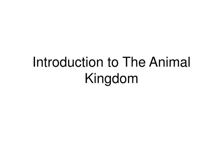 introduction to the animal kingdom