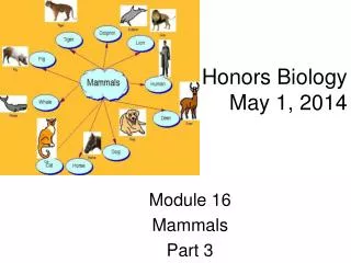 Honors Biology May 1, 2014
