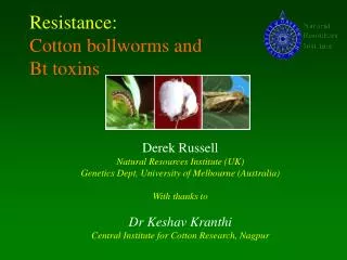 Resistance: Cotton bollworms and Bt toxins