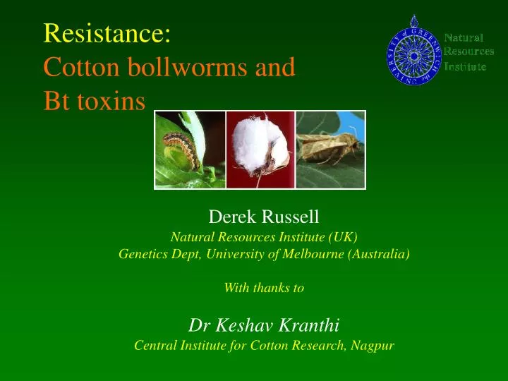 resistance cotton bollworms and bt toxins