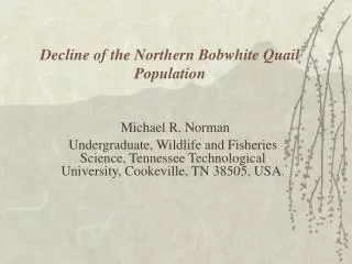 Decline of the Northern Bobwhite Quail Population