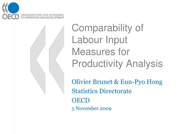 comparability of labour input measures for productivity analysis