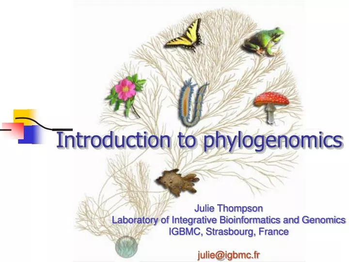 introduction to phylogenomics