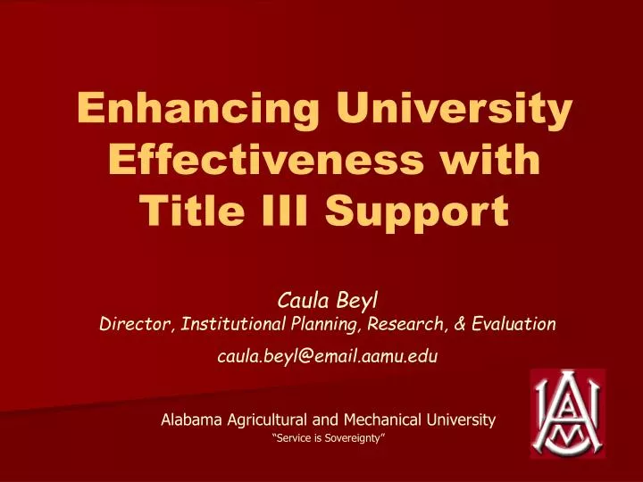 enhancing university effectiveness with title iii support