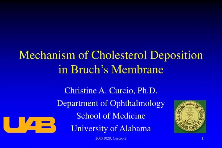 mechanism of cholesterol deposition in bruch s membrane