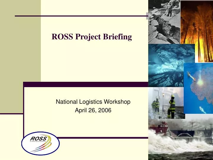 ross project briefing