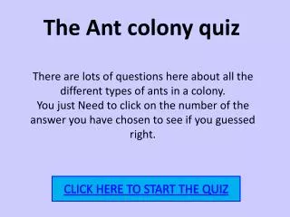 The Ant colony quiz