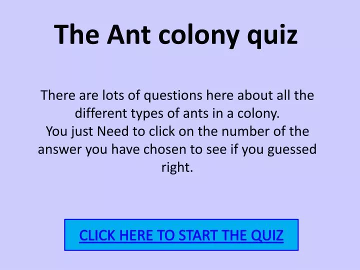 the ant colony quiz