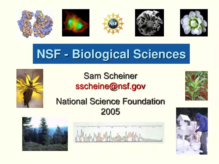 nsf biological sciences