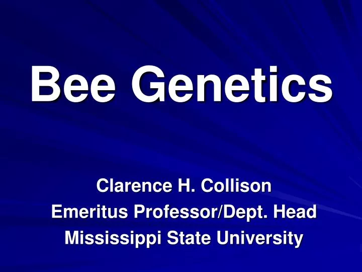 bee genetics