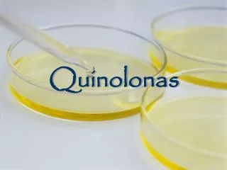 quinolonas