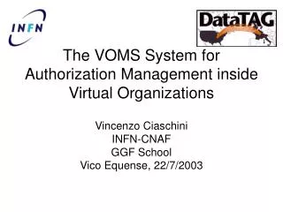 The VOMS System for Authorization Management inside Virtual Organizations