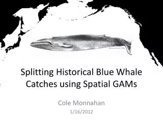 Splitting Historical Blue Whale Catches using Spatial GAMs