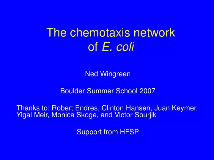 the chemotaxis network of e coli