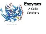 Enzymes