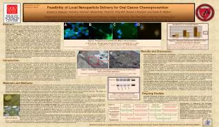 Feasibility of Local Nanoparticle Delivery for Oral Cancer Chemoprevention