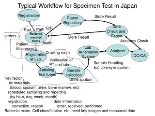Typical Workflow for Specimen Test in Japan