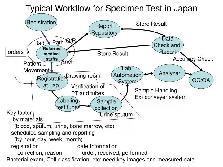 typical workflow for specimen test in japan