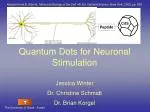 Quantum Dots for Neuronal Stimulation - slide 1