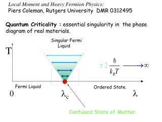 Singular Fermi Liquid