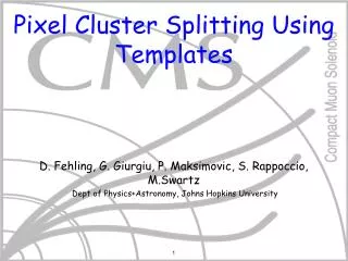 Pixel Cluster Splitting Using Templates