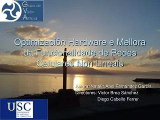 optimizaci n hardware e mellora da funcionalidade de redes celulares non lineais