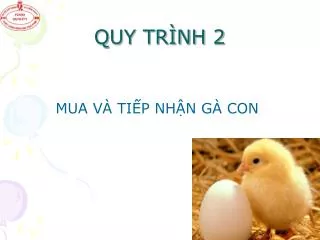 quy tr nh 2