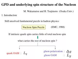 GPD and underlying spin structure of the Nucleon