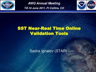 SST Near-Real Time Online Validation Tools