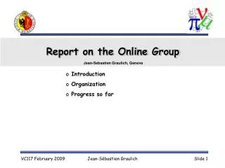 Report on the Online Group