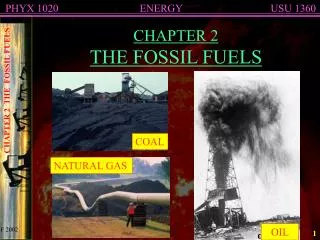 CHAPTER 2 THE FOSSIL FUELS