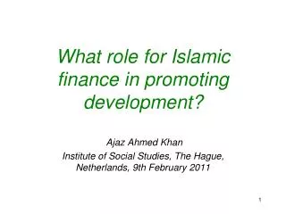 What role for Islamic finance in promoting development?