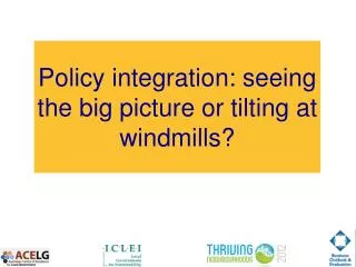 Policy integration: seeing the big picture or tilting at windmills?