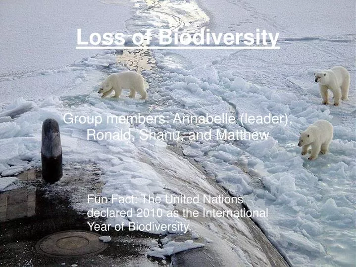 loss of biodiversity