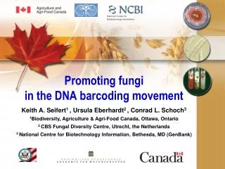 Promoting fungi in the DNA barcoding movement