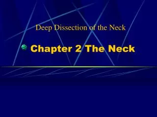 Chapter 2 The Neck