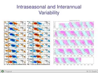 Intraseasonal and Interannual Variability
