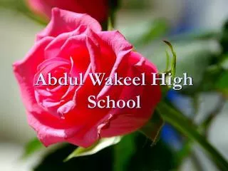 Abdul Wakeel High School