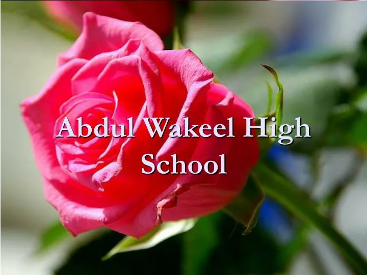 abdul wakeel high school