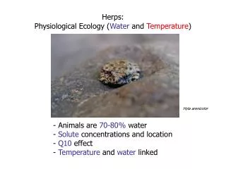 Herps: Physiological Ecology ( Water and Temperature )