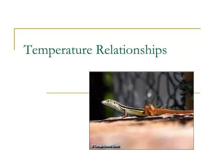 temperature relationships