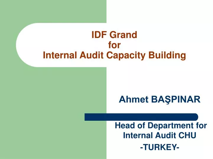 idf grand for internal audit capacity building