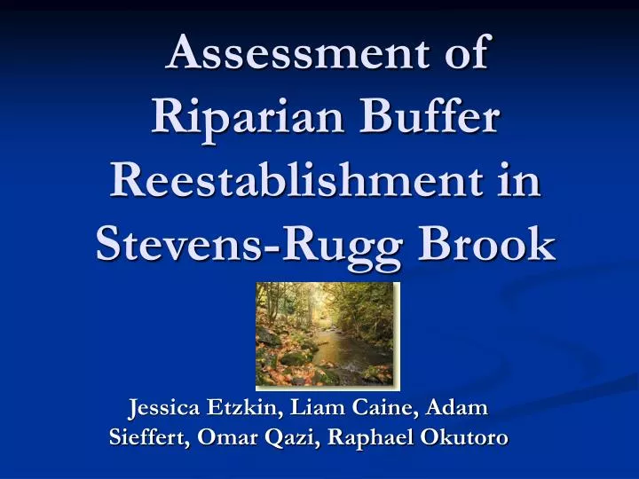 assessment of riparian buffer reestablishment in stevens rugg brook