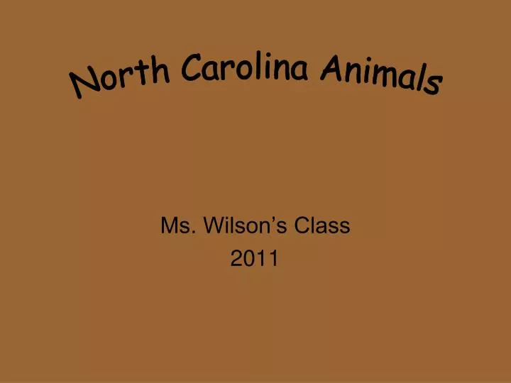 ms wilson s class 2011